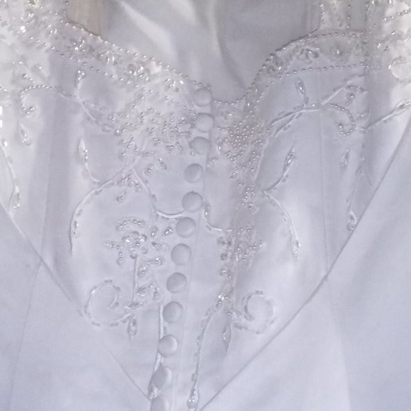 Wedding Gown David's Bridal "Michaelangelo" Size12 - Picture 7 of 8